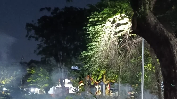 Halo RRI: Bakar Sampah Berisiko Picu Kebakaran Lahan