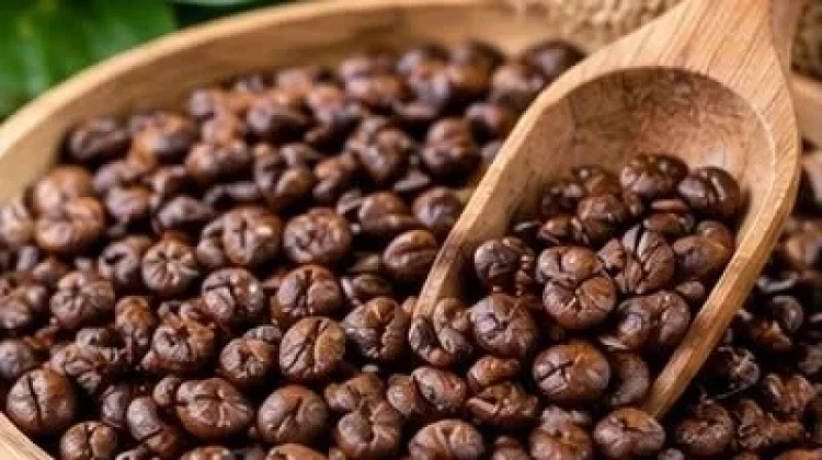 Daerah Penghasil Kopi Berkualitas di Jawa Timur