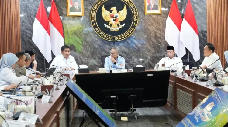 Pemerintah Kejar Target LP2B 87 Persen Lahan Baku Sawah untuk Ketahanan Pangan