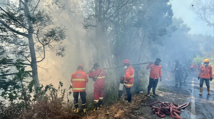 Water Bombing Terkendala Angin, Bromo Optimalkan Jalur Darat