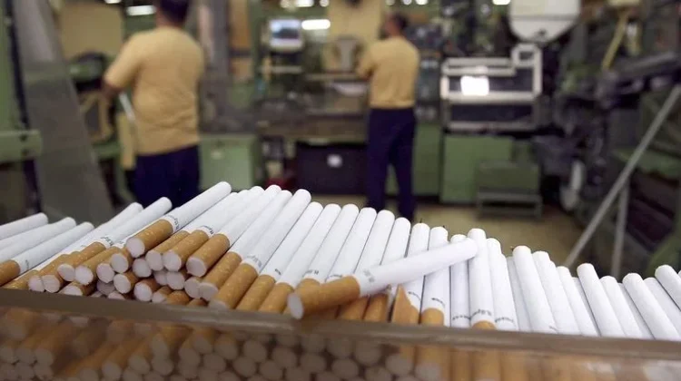 Sejarah Terciptanya Rokok, Bermula Dari Tradisi Tembakau