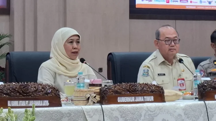 Pemutihan Pajak Kembali Hadir, Mulai 1 Oktober - 30 November 2026