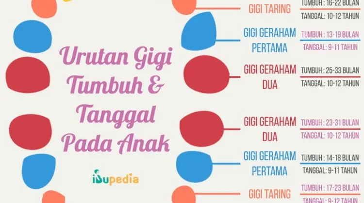 Kapan Gigi Susu Copot? Kenali Tanda Bahayanya!