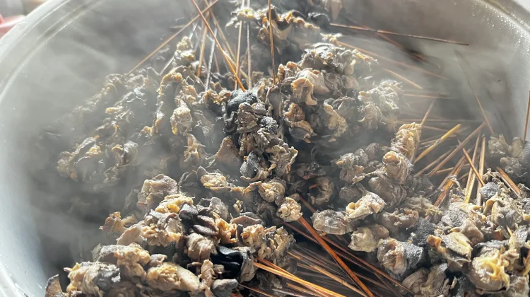 Sate Bekicot Jadi Kuliner Khas Sepanjang Plosoklaten Wates