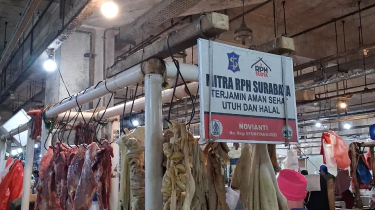 Pasokan Daging Sapi Surabaya Aman, Harga Bertahan di Kisaran Rp150 Ribu ...
