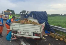 Pecah Ban, Pickup Bermuatan Durian Tergelincir di Tol Sumo