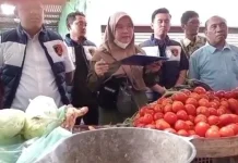 Harga Ayam dan Cabai di Pasar Larangan Melonjak