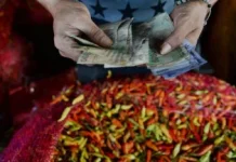 Pasokan Minim, Harga Cabai Rawit Melonjak