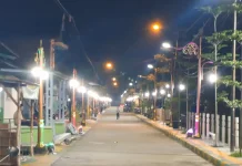 Desa Kepuhanyar Mojokerto Transformasi Kawasan Kumuh Jadi Kampung Estetis Sehat