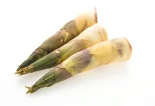 Rebung: Superfood Alami Kaya Manfaat untuk Kesehatan