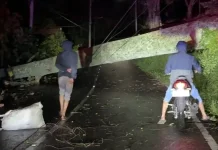Hujan Angin Terjang Mojokerto, Jalur Pacet-Cangar Lumpuh