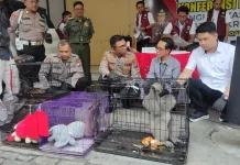 Polisi Bongkar Perdagangan Satwa Dilindungi Internasional