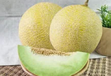Melon Ithanon, Si Manis Premium dari Thailand