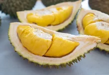 Musang King, Durian Favorit dari Malaysia