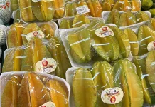 Fakta Buah Bintang atau Buah Belimbing yang Perlu Diketahui