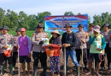 Kepolisian Balongbendo Gelar Tanam Jagung Serentak Kuartal I
