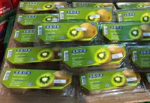 Buah Kiwi dan Segala Manfaatnya Bagi Kesehatan