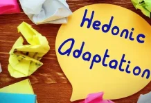 Apa Sih Hedonic adaptation?