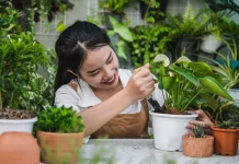 Kebun Kecil di Rumah ternyata Ampuh Kurangi Stres dan Hemat Pengeluaran