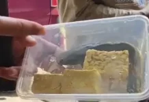 Akademisi UNAIR Soroti Menu Lele Marinasi Mentah MBG