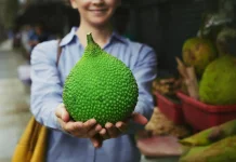 Sukun Kaya Serat dan Vitamin untuk Kesehatan Optimal