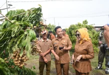 Wabup Sidoarjo Dorong Wisata Petik Klengkeng Produktif