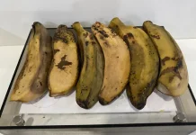 Pisang Kepok Kian Diburu, Jadi Rahasia Cuan UMKM Kuliner