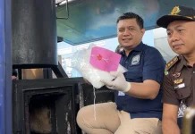 BNNP Jatim Musnahkan Hampir 1 Kg Sabu dalam Kemasan Teh China