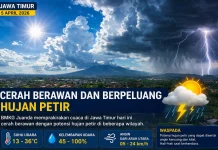 Cuaca Jatim Dominasi Cerah Berawan, Waspadai Hujan Petir