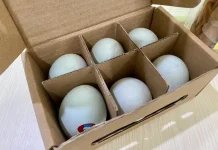 Inovasi Telur Asin Oven: Lebih Masir dan Tahan Lama