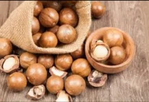 Makadamia Jadi Kacang Termahal Dunia Ini Alasannya