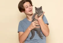 Tips Menggendong Kucing yang Nyaman bagi Kucing