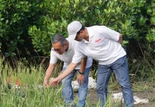 ITS-BRIDA Perkuat Riset Lingkungan di Kebun Raya Mangrove