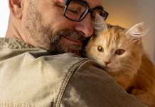 Kucing Diketahui Bisa Merasakan Emosi Pemiliknya