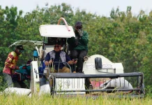 Panen Raya, BULOG Jatim Serap 500 Ribu Ton Beras