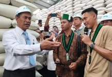 Transparansi Stok Pangan, Publik Diajak Cek Langsung Bulog