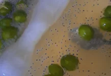 Es Jeruk Kasturi : Minuman segar yang Belum Banyak Diketahui Warga Surabaya