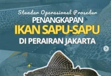 Ikan Sapu-Sapu, Si Hitam yang Viral serta Dampaknya Bagi Lingkungan