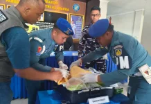 Petugas Gagalkan Penyelundupan BBL di Juanda Senilai Rp1,1 Miliar