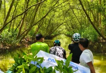 Jaga Pesisir Surabaya Palasdhika dan Polygon Tanam Mangrove di Kejawan
