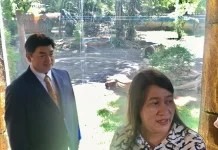 KBS Jalin Kerjasama dengan Izu Zoo Jepang Melalui Program Peminjaman Komodo