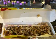 Menikmati Sensasi Takoyaki Otentik di Foodcourt