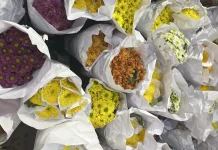 Pasar Bunga Kayoon: Pesona Krisan Warna-Warni