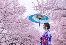 Tradisi Hanami Sakura jadi Daya Tarik Musim Semi