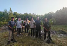 PII Jatim Tanam Ribuan Mangrove
