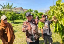 DPR RI Dorong Kebun Kelengkeng Tulangan jadi Wisata Edukasi