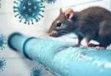 DPRD Minta Pemprov Jatim Memperkuat Mitigasi Penyebaran Hantavirus