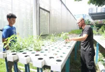 Mahasiswa Biologi ITS Dalami Pertanian Berkelanjutan di Kebun Kita Malaysia
