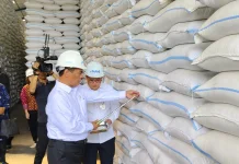Mentan: Stok Beras Nasional 5,3 Juta Ton, Tertinggi Sepanjang Sejarah