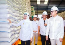Gubernur Khofifah Bersama Wamendagri Luncurkan GPIPS Wilayah Jawa